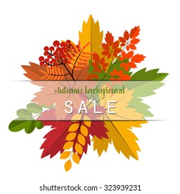 Autumn foliage vector banner. Autumn typographical background with autumn leaves. Autumn typographic. Fall leaf. Vector illustration EPS 10. Autumn sale vector banner
