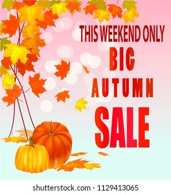 autumn foliage vector sale banner