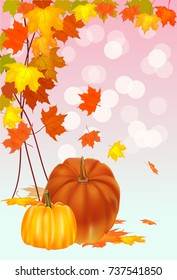 autumn foliage vector sale banner