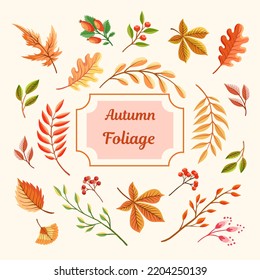 Autumn foliage vector set. Maple leaf, oak leaf and ginkgo leaf illustration isolated on white background. Suitable for Thanksgiving greeting card design.