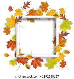 Autumn foliage with white frame on the white background. Eps 10 vector file.