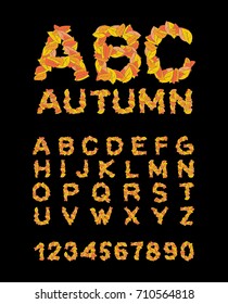 Autumn font. Yellow leaves of alphabet. autumnal ABC. Letters of fallen leaves. Vector illustration
