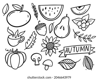Autumn food and eat elements set. Vector art illustration isolated elements
