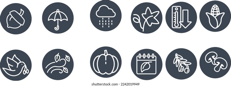 Autumn food Icons vector design 