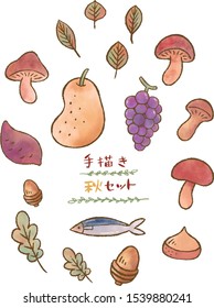 Autumn food set. Created with Illustrator based on hand-drawn illustrations.