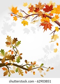 Autumn forest