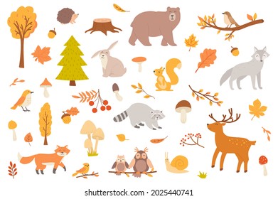 Autumn forest with animal isolated objects set. Collection of fall trees and leaves, mushrooms, bear, wolf, squirrel, raccoon, deer, owl, fox. Vector illustration of design elements in flat cartoon