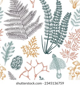 Autumn forest background. Seamless pattern. Ferns, mushrooms, fall leaves, autumn plant sketches. Botanical repeating texture. Hand-drawn vector illustration. 