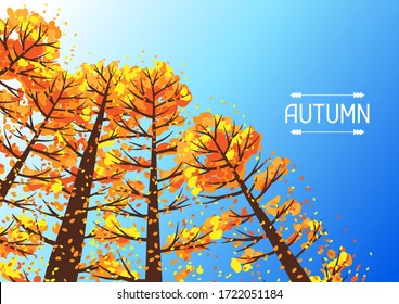 Autumn forest background with stylized trees. Seasonal illustration.