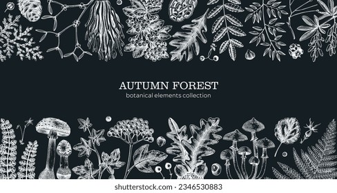 Autumn forest background. Vintage banner, ferns, mushrooms, fall leaves, autumn plant sketches. Botanical design template on chalkboard. Hand-drawn vector illustration