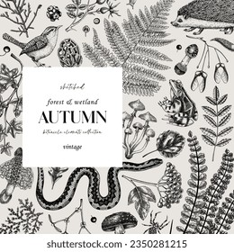 Autumn forest background. Woodland animals, fall leaves, ferns, mushrooms sketches. Fall nature backdrop. Hand-drawn vector illustration. Vintage botanical invitation or greeting card, frame design 