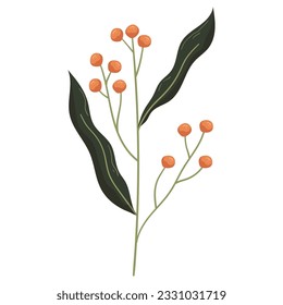 Autumn forest berry on twig with leaf illustration. 