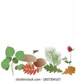 Autumn forest composition, mushrooms, aspen and pine branches, clover, oak and rowan leaves, flying wasp. Seamless line horizontal border. Set of design elements. Vector illustration. For print, web.