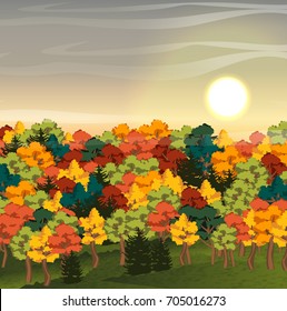 Autumn forest of deciduous trees and firs. Red, yellow and green leaves. Sunny weather. Vector landscape can be used in newsletter, brochures, postcards, banner.