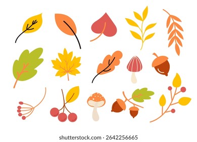 Autumn forest elements collection. Forest clipart