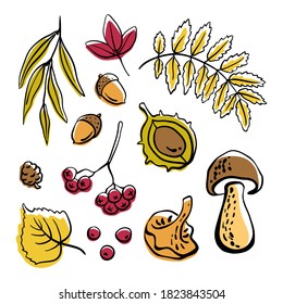 Sammlung von Herbstwäldern: Pilze, Beeren, Eicheln, Blätter und Kastanien. Handgezeichnet bunte Skizze einzeln auf weißem Hintergrund. Vektorgrafik