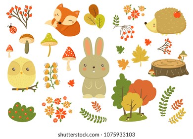 Autumn forest elements set, forest animals, leaves, flowers, mushrooms cartoon vector Illustrations on a white background
