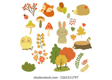 Conjunto de elementos forestales otoñales, animales forestales, hojas, flores, bayas y setas caricatura vectorial Ilustraciones sobre un fondo blanco