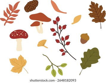 Elementos de floresta de outono set- folhas, cogumelos, bagas, bolotas, clipart desenhado à mão