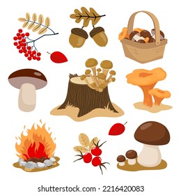 Autumn forest elements set - porcini, mushroom basket, stump, campfire, mushrooms. Illustrated vector element.