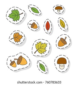 Autumn forest elements stickers or icons set. Colorized tree leaves, acorn and mushroom isolated flat vectors outlined with dotted line. Autumn defoliation and forest harvest illustration
