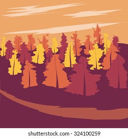 autumn forest in the evening light. silhouettes of trees