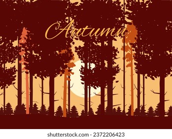 Autumn forest, fall trees with, sunset