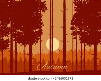 Autumn forest, fall trees with, sunset