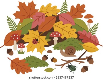 Autumn forest floor heap vector illustration featuring colorful fallen maple leaves, oak foliage, red fly agaric mushrooms, ladybug, snail, beetle, ferns, and acorns isolated on white background. Flat seasonal nature concept for thanksgiving print and background.