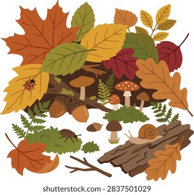 Autumn forest floor vector illustration featuring colorful fallen maple leaves, oak foliage, wooden log, red fly agaric mushrooms, ladybug, snail, beetle, ferns, and acorns isolated on white background. Flat seasonal ecosystem concept for fall print and card design.