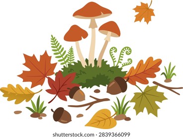 Autumn forest floor vector illustration with wild mushrooms, moss, dry oak leaves, maple foliage, ferns, and acorns isolated on white background.