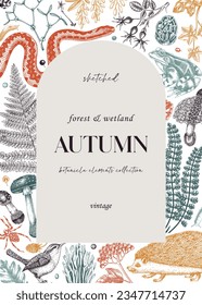 Autumn forest frame in color. Hand-drawn vector illustration. Autumn plants, fall leaves, mushrooms, ferns, woodland animals sketches. Decorative background, vintage banner, print, greeting card