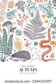 Autumn forest hand-drawn design. Vector illustration. Greeting card, invitation, cover, brochure illustration. Ferns, fall leaves, woodland animals, mushrooms sketch. Vinatge design elements.