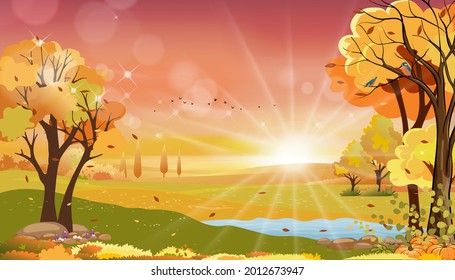 Autumn forest landscape in evening light with sunset in orange and pink sky,Vector Cartoon fall season at countryside with grass field,hill, morning sunrise,illustration banner for Autumnal background