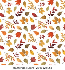 Autumn forest leaves and berries seamless pattern. Seasonal vector illustration. Fall season specific vector background. Perfect for greetings, invitations, wrapping paper, textile.