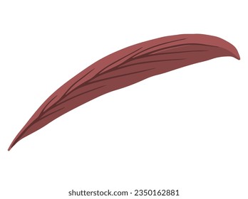 Autumn Forest Leaves. Hand Drawn Autumn Leaf Illustration