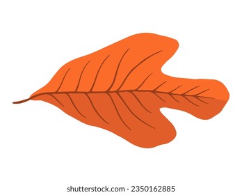 Autumn Forest Leaves. Hand Drawn Autumn Leaf Illustration