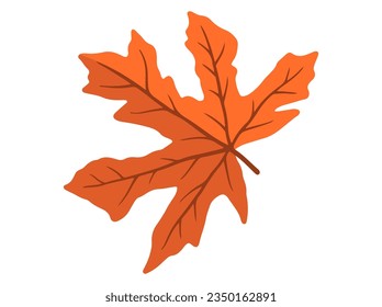 Autumn Forest Leaves. Hand Drawn Autumn Leaf Illustration