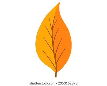 Autumn Forest Leaves. Hand Drawn Autumn Leaf Illustration