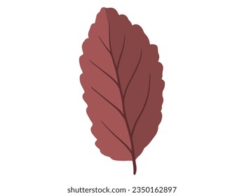 Autumn Forest Leaves. Hand Drawn Autumn Leaf Illustration