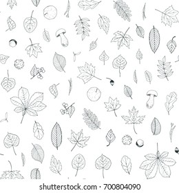 autumn forest leaves hand drawn vector doodle illustration seamless pattern