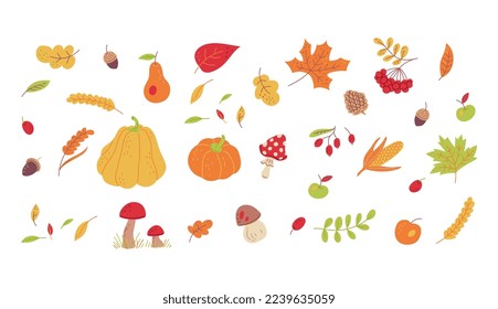 Autumn forest leaves and plants set of icons. Autumn nature collection in childish cartoon style, flat vector illustration isolated on white background.