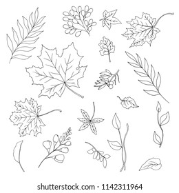Autumn forest leaves sketch vector sticker set, clip art isolated