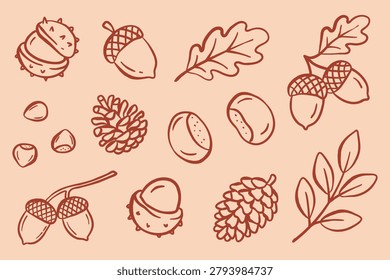 Autumn forest line art vector set with acorns, oak leaves, pine cones and chestnuts. Cozy hand drawn botanical collection in warm neutral colors. Perfect for fall design, packaging, poster, pattern and stickers.