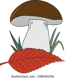Autumn forest mushroom and leaf vector illustration
