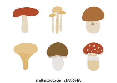 Autumn forest mushroom set. Cute cartoon vector illustration isolated on white background. Boletus, aspen, chanterelles, honey mushrooms, toadstools, fly agaric