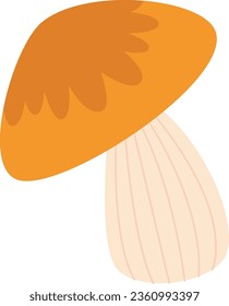 Autumn Forest Mushroom Vector Illustration
