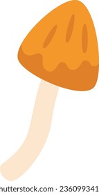 Autumn Forest Mushroom Vector Illustration
