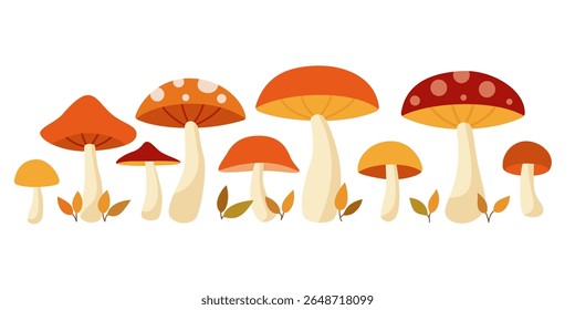 Autumn Forest Mushrooms Collection in Flat Style. Mushrooms in a row
