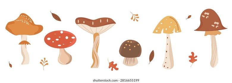 Autumn Forest Mushrooms Collection. Vector Toadstools, Fungi, Amanita, Fly agaric, Leaves and Botanical Elements in Hand Drawn Flat Style